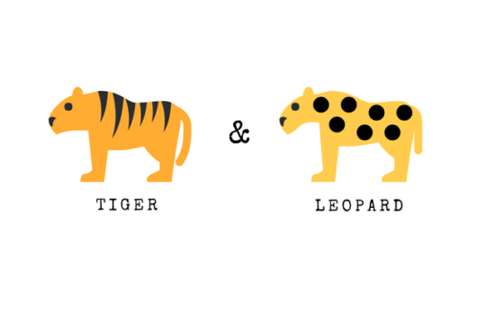 虎と豹