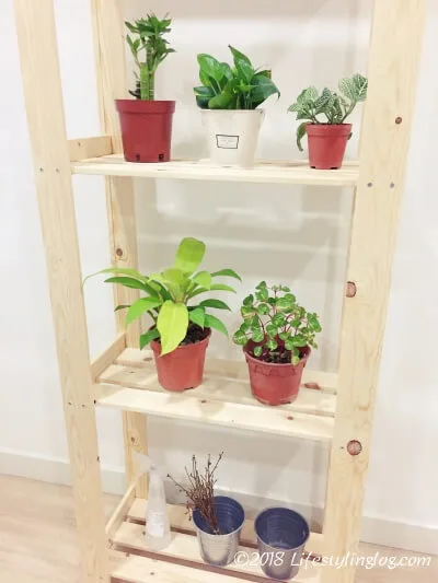 Ikea イケア の観葉植物と棚で作る癒しのホームグリーン空間 ライフスタイリングログ