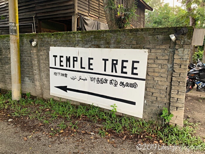 Temple Treeの方向を示す標識