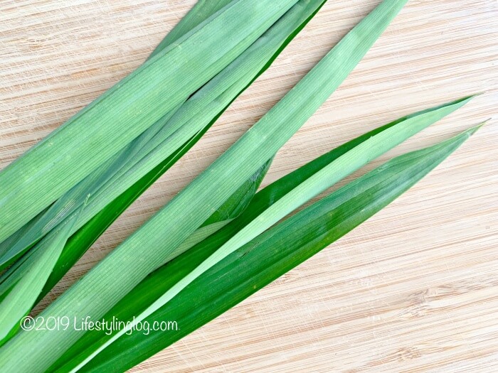 Pandan Leaves(パンダンの葉)