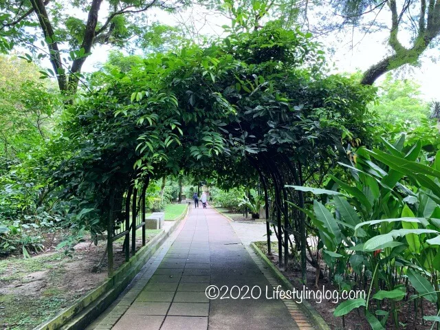 クアラルンプール植物園 散策に適した緑溢れる都会のオアシス ライフスタイリングログ