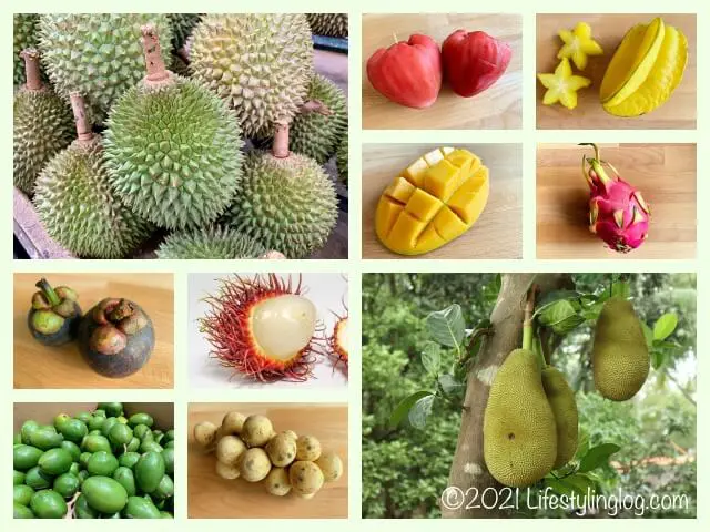 マレーシアのトロピカルフルーツ特集 南国果物の種類と旬の時期 ライフスタイリングログ