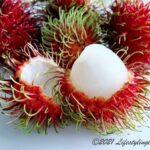 ランブータン（Rambutan）とは？