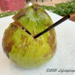 マレーシアのココナッツ