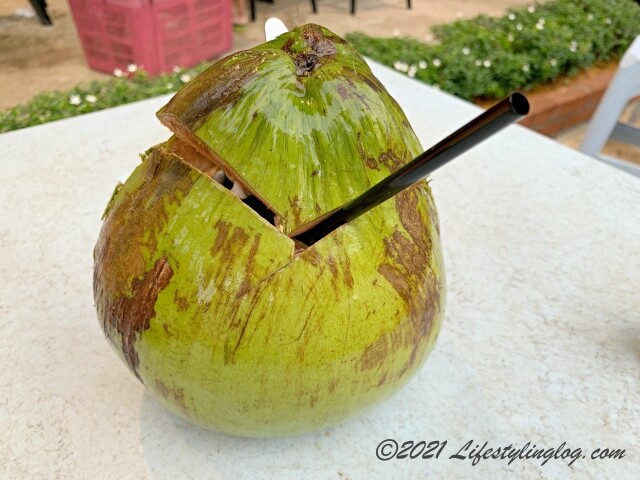 マレーシアのココナッツ