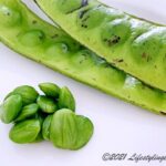 マレーマレーシアの臭い豆と呼ばれるPetai（プタイ）/ Stink Beans（スティンクビーンズ）
