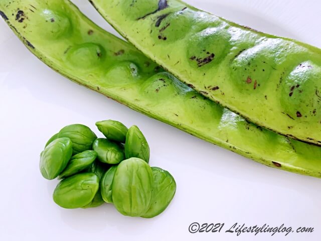 マレーマレーシアの臭い豆と呼ばれるPetai（プタイ）/ Stink Beans（スティンクビーンズ）