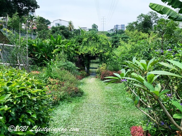 Kebun Kebun Bangsarのなかに続く道