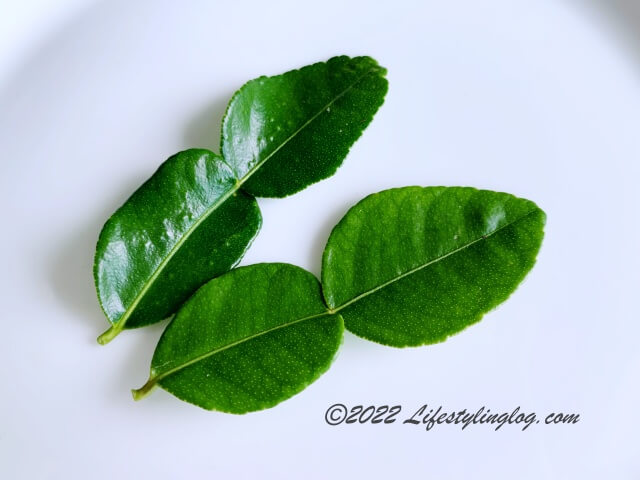 Kaffir Lime Leaves（こぶみかんの葉）