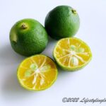 マレーシアのCalamansi（カラマンシー）
