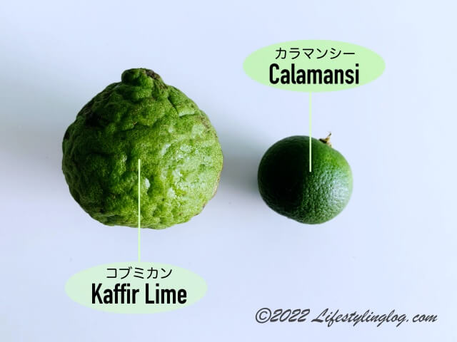 Calamansi（カラマンシー）とKaffir Lime（コブミカン）の大きさ比較