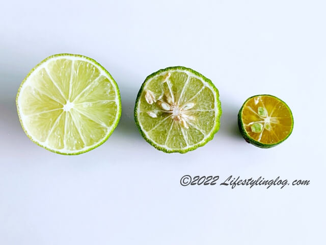 Key Lime（キーライム）とKaffir Lime（コブミカン）とCalamansi（カラマンシー）の比較