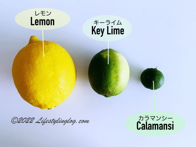 レモン・キーライム・Calamansi（カラマンシー）の大きさ比較