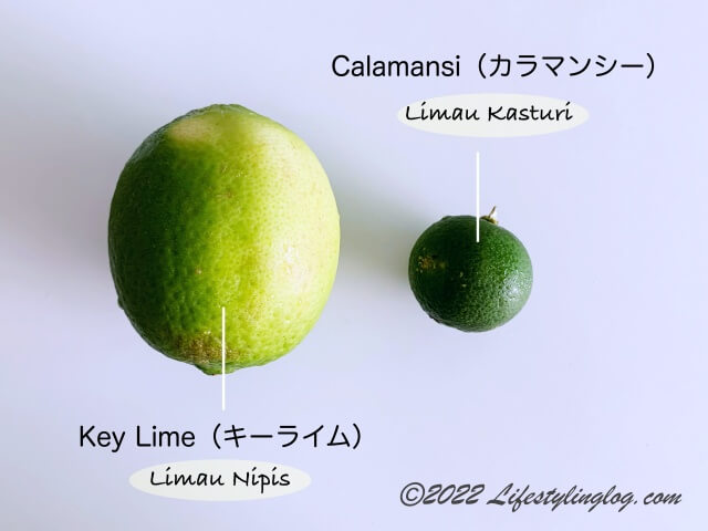 Key Lime（Limau Nipis）とCalamansi（Limau Kasturi）の比較
