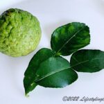 コブミカンのKaffir Lime（カフィアライム）とコブミカンの葉のKaffir Lime Leaf（カフィアライムリーフ）