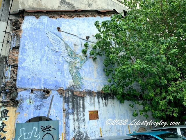 木に鳥がとまっているように見えるイポーにあるハミングバードのストリートアート