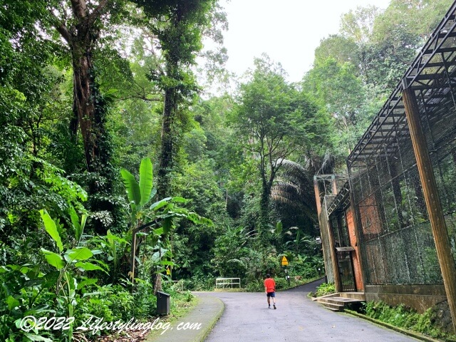 ペナン植物園（Penang Botanic Gardens）でウォーキングする人
