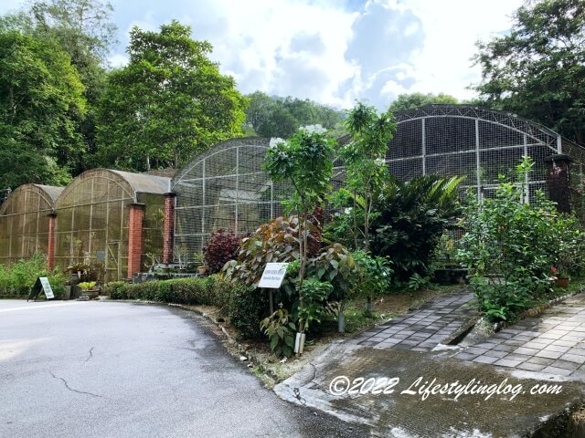 ペナン植物園（Penang Botanic Gardens）で育てられている植物
