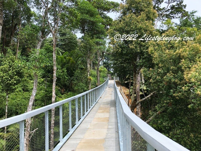 the habitat penang hillのCanopy Walk