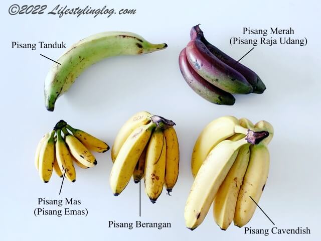 マレーシアで一般的なバナナの種類（品種）