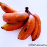 赤い皮を持つレッドバナナ（モラードバナナ）