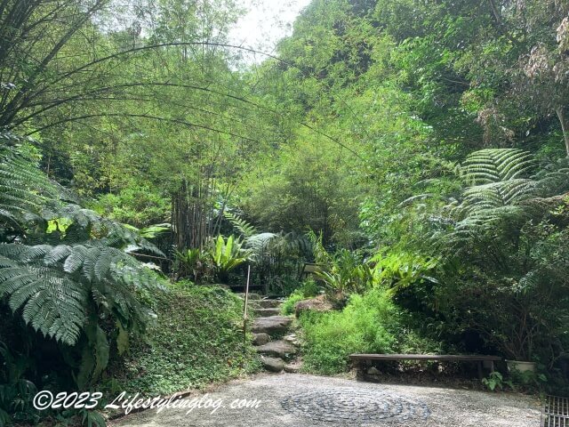Tropical Spice Garden（トロピカルスパイスガーデン）の園内