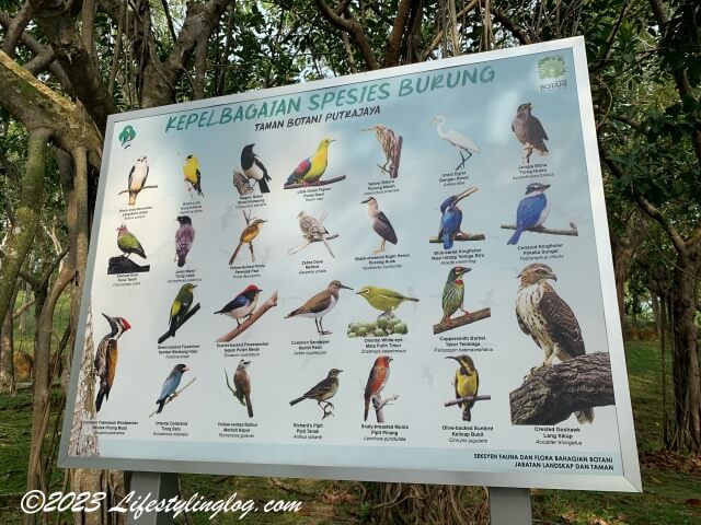 プトラジャヤ植物園（Taman Botani Putrajaya）にいる鳥