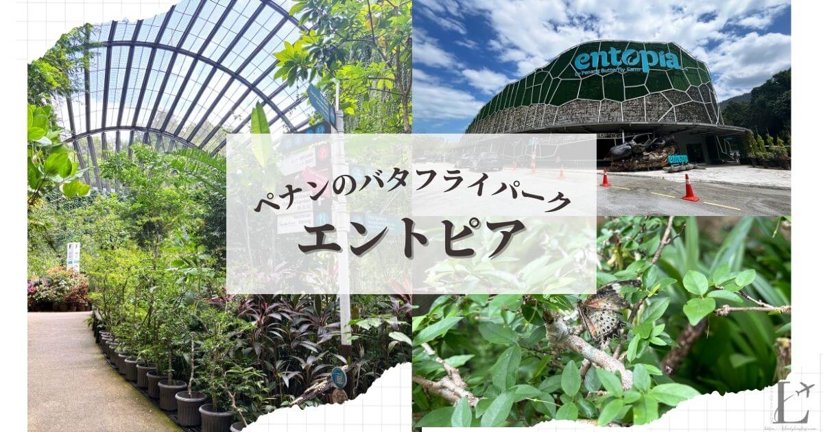 ペナン島のEntopia（エントピア）バタフライファーム