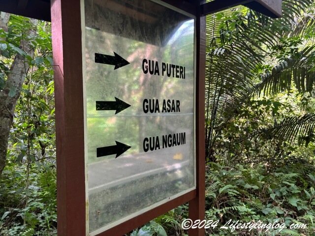 Gua Puteri、Gua Asar、Gua Ngaumなどの洞窟の方向を示す案内標識