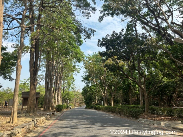 寿山情人観景台の近くにある道