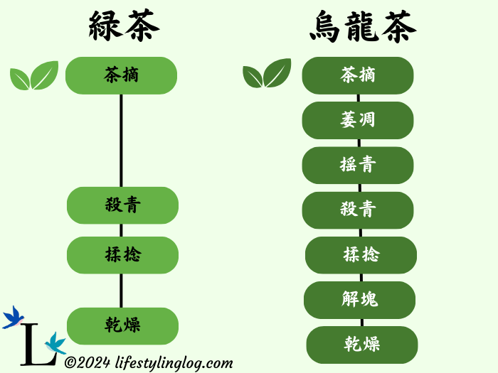 緑茶と烏龍茶の加工プロセスの違いと比較