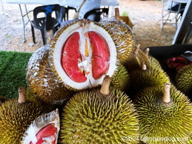 サバの赤いドリアンのDurian Sukang